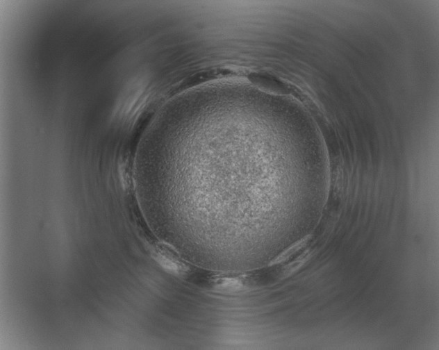 X0000071340285200606261324