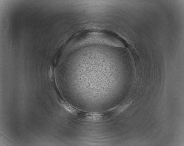 X0000071340288200606261324