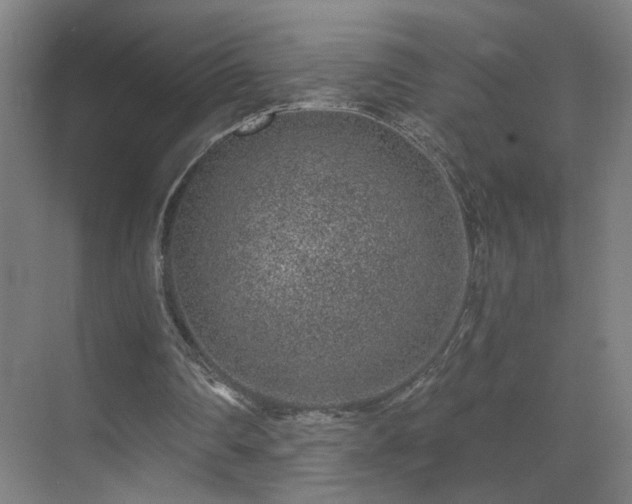 X0000071340290200606261323