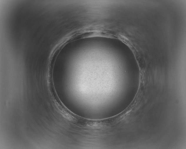 X0000071340293200606261323