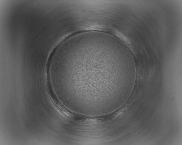 X0000071340298200606261323