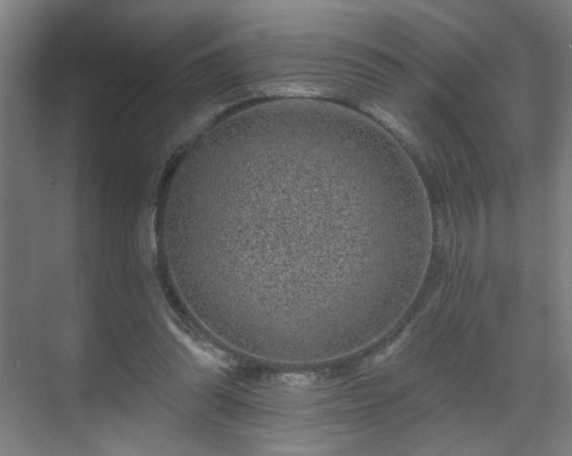 X0000071340302200606261323