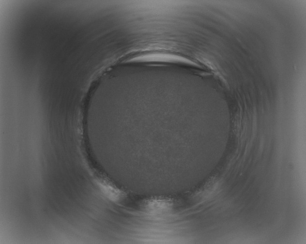 X0000071340303200606261323