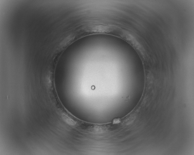 X0000071340305200606261322