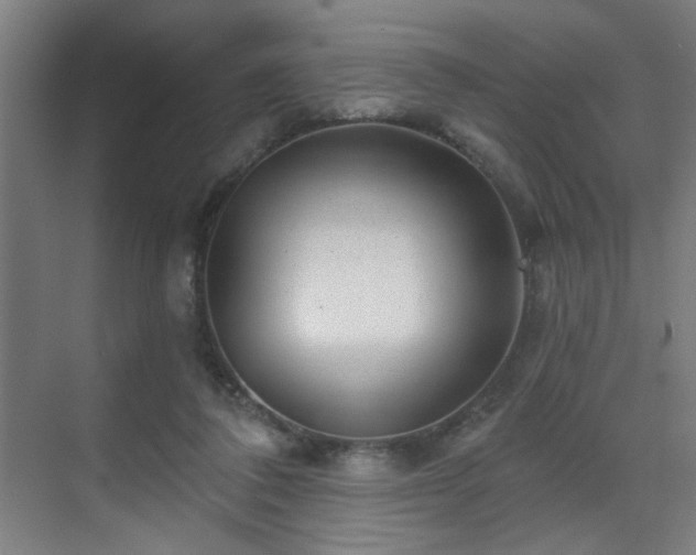 X0000071340308200606261322