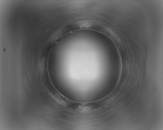 X0000071340311200606261322