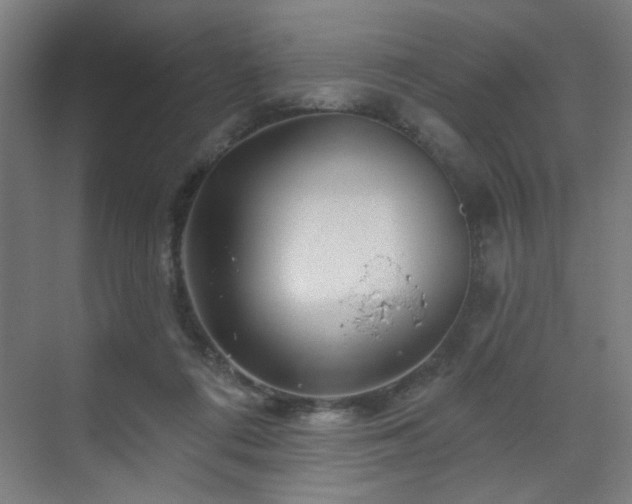 X0000071340312200606261322