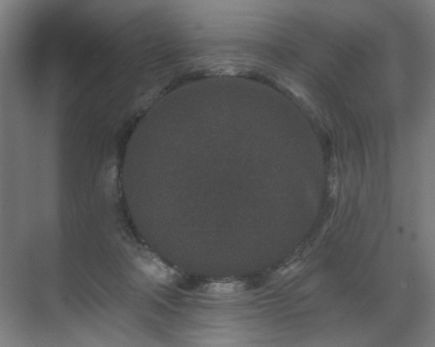 X0000071340314200606261322