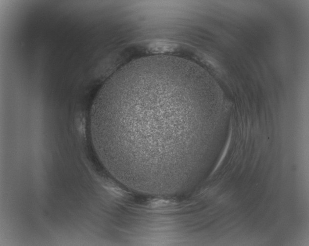 X0000071340315200606261322