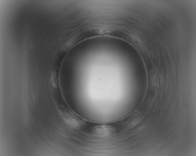 X0000071340316200606261322