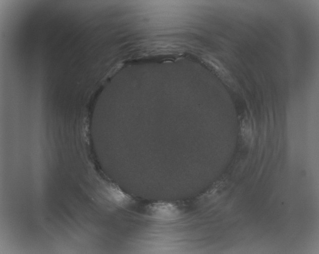 X0000071340322200606261322