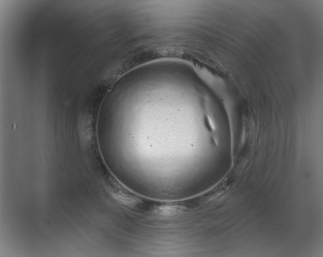 X0000071340323200606261322