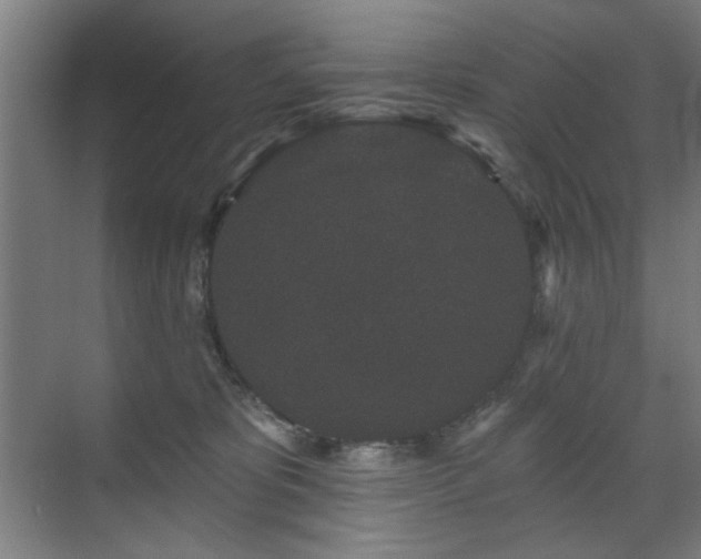 X0000071340325200606261322