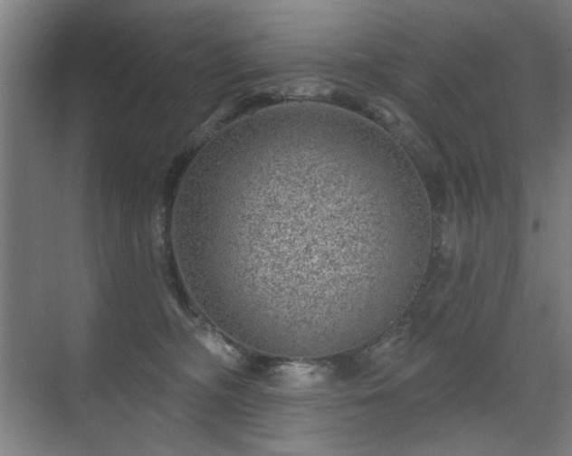 X0000071340326200606261322