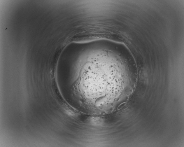 X0000071340327200606261322