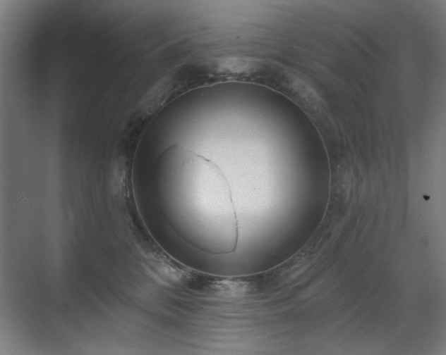 X0000071340328200606261322