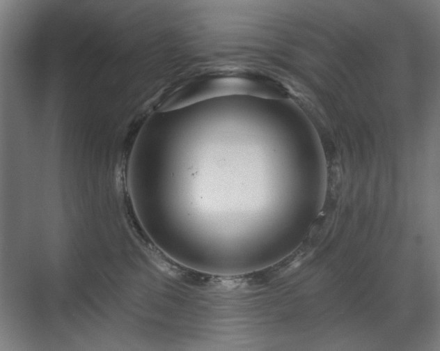 X0000071340329200606261322