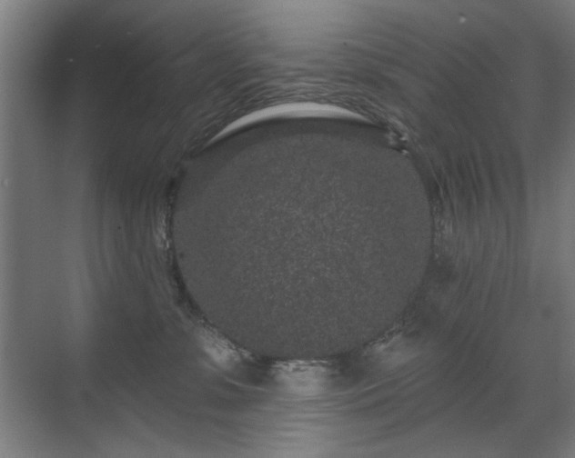 X0000071340331200606261322