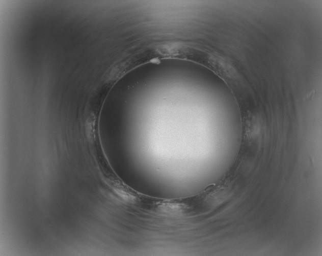 X0000071340332200606261322