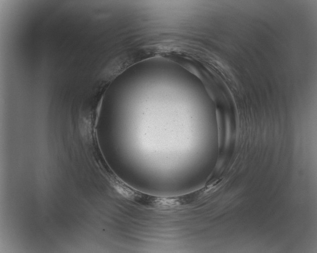 X0000071340333200606261322