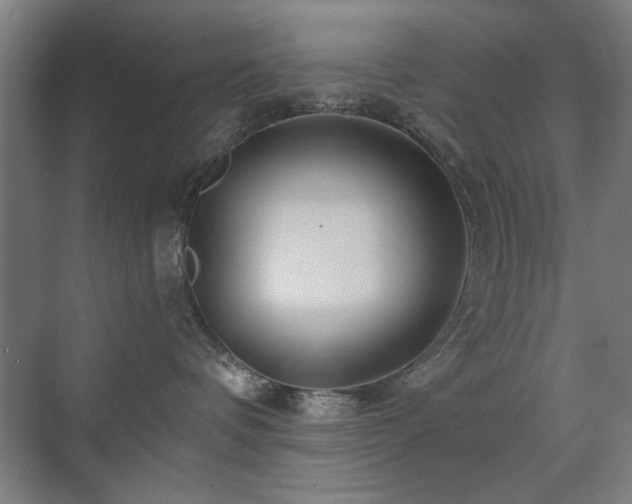 X0000071340336200606261322