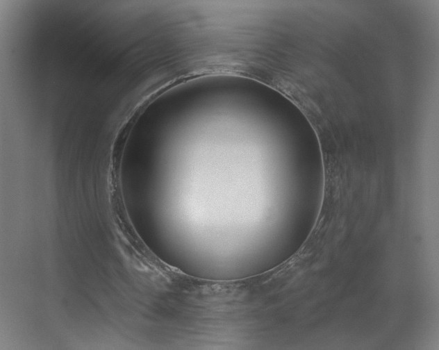 X0000071340338200606261321