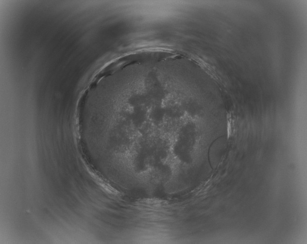 X0000071340339200606261321