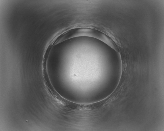 X0000071340340200606261321