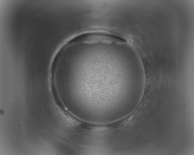 X0000071340342200606261321