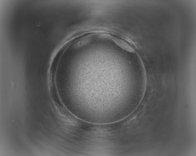 X0000071340343200606261321