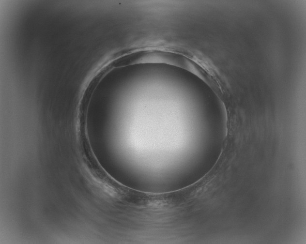 X0000071340344200606261321