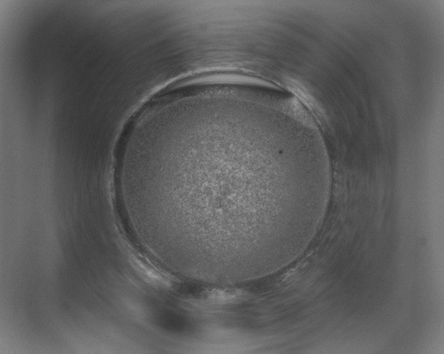 X0000071340346200606261321