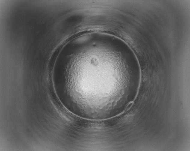 X0000071340347200606261321