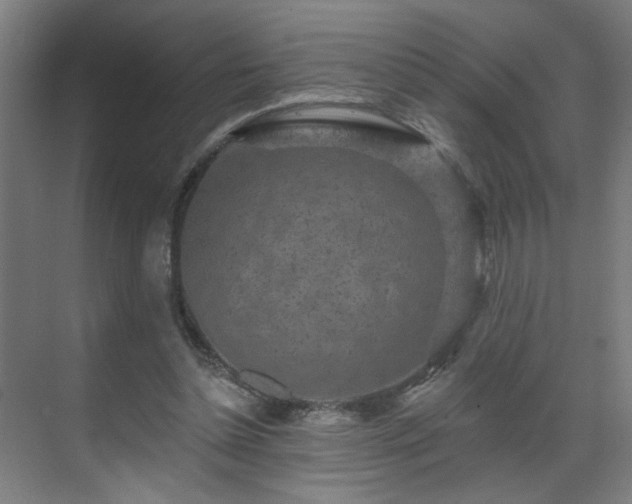 X0000071340348200606261321