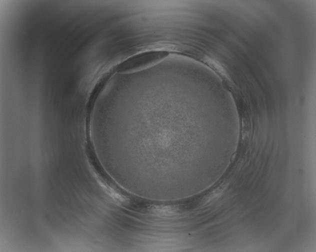 X0000071340349200606261321