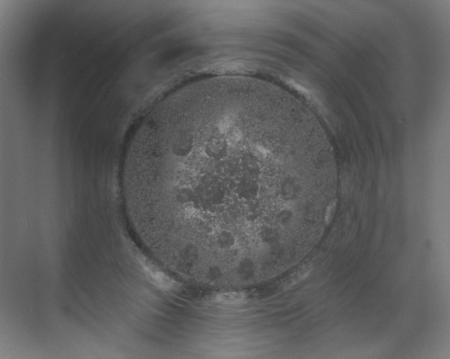 X0000071340353200606261321