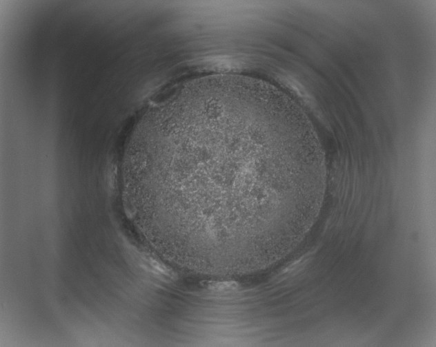 X0000071340355200606261321