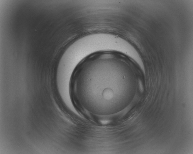 X0000071340356200606261321