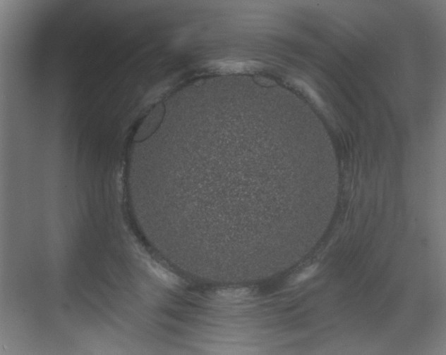 X0000071340357200606261321