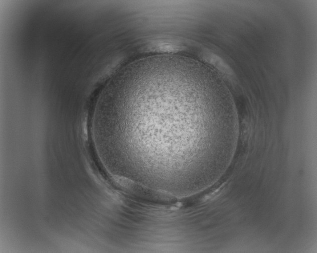 X0000071340358200606261322