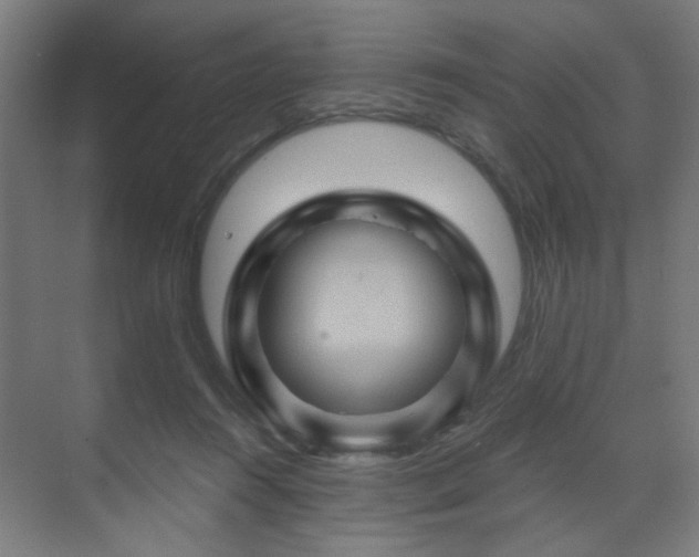 X0000071340360200606261322