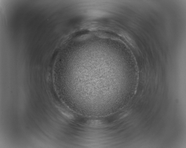 X0000071340361200606261322