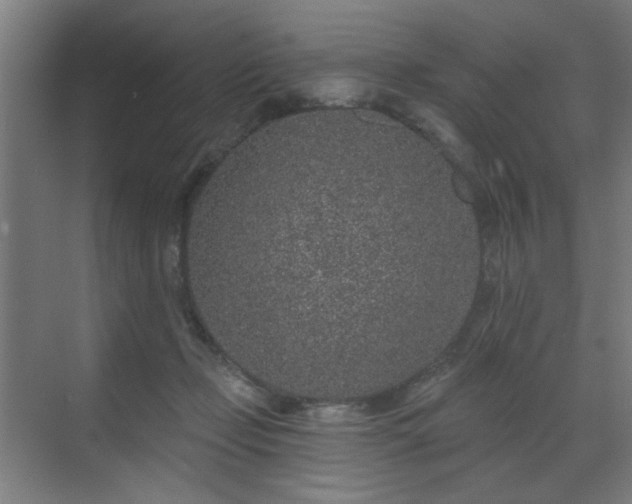 X0000071340365200606261322