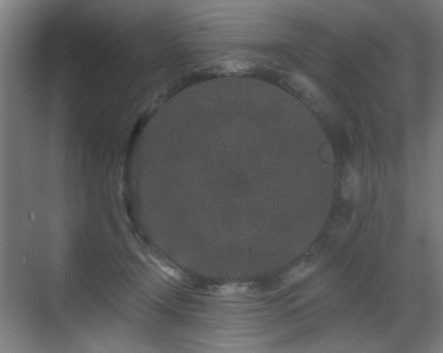 X0000071340366200606261322