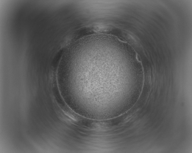 X0000071340367200606261322