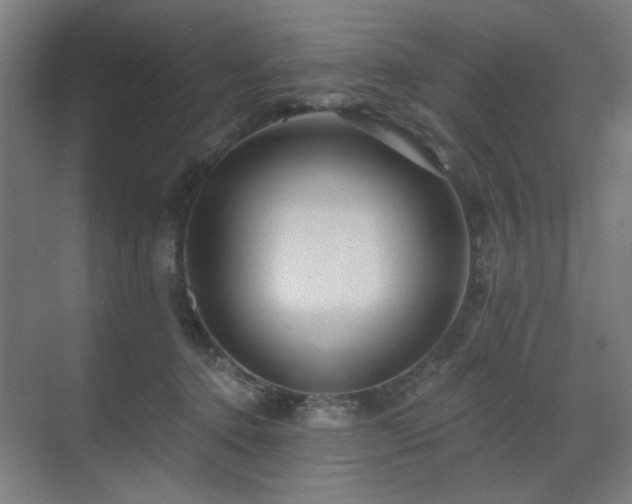 X0000071340368200606261322