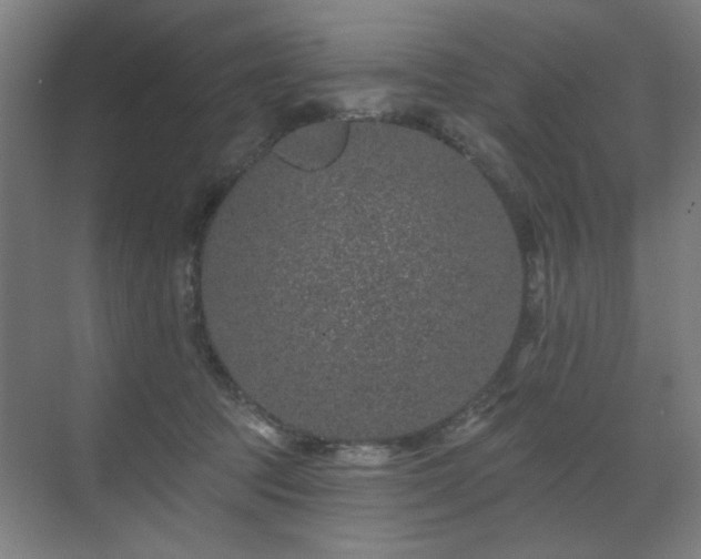 X0000071340369200606261322