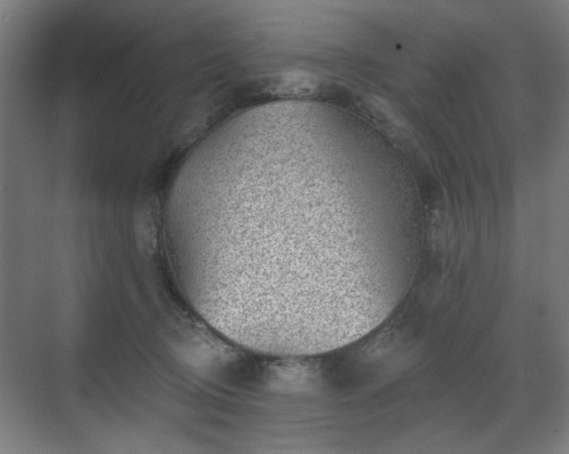 X0000071340370200606261322