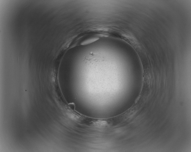 X0000071340374200606261322