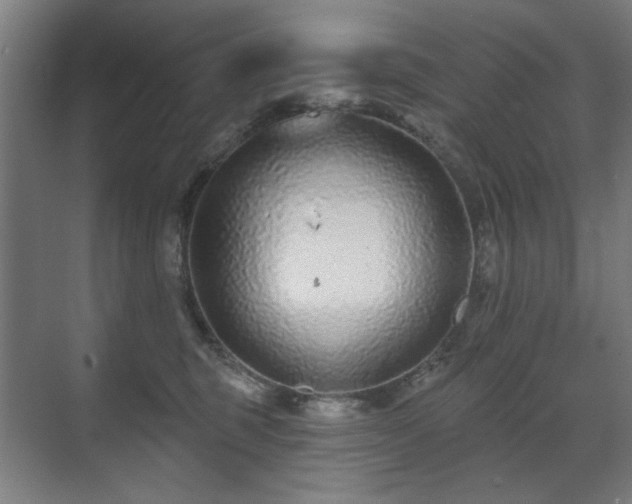 X0000071340375200606261322